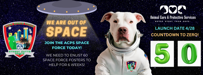 Photo of an animated dog in a spaceship